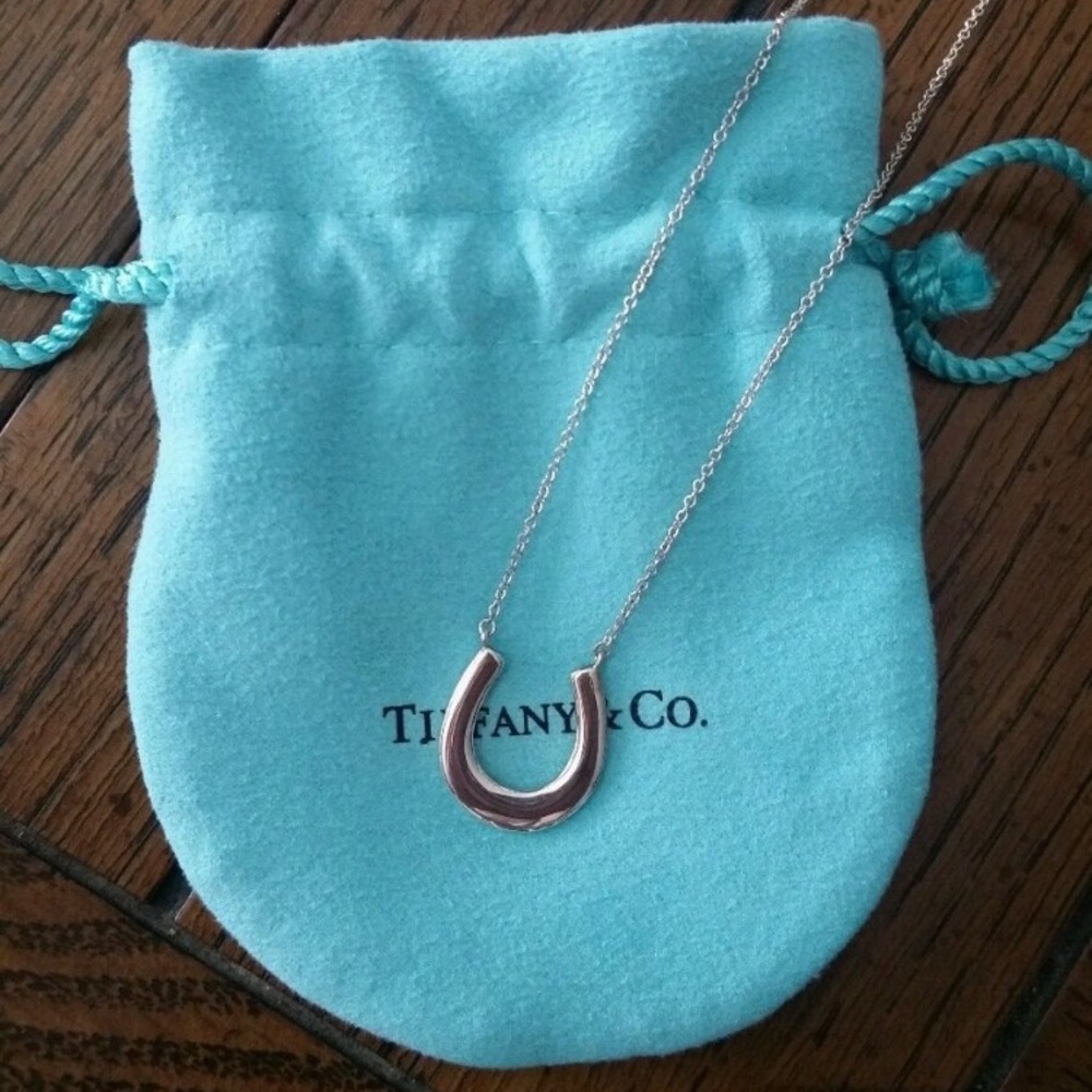 ✨💙Tiffany & Co. Horseshoe necklace💙✨
